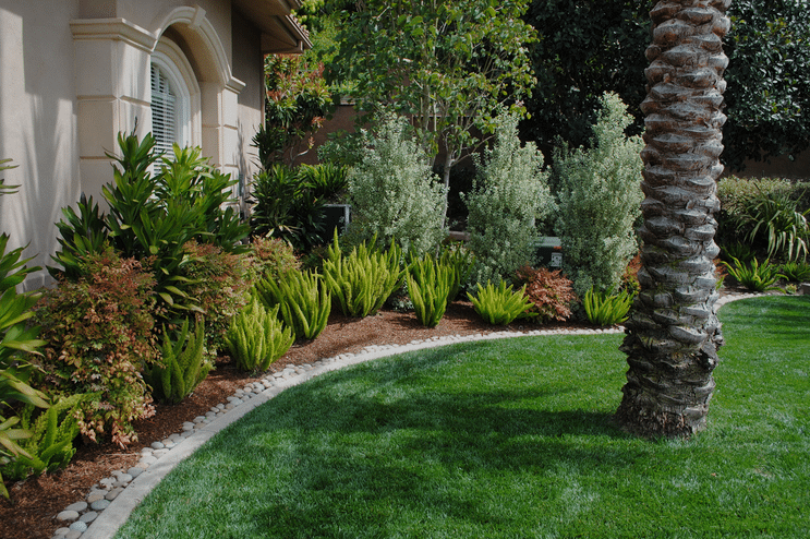 Landscape work by Arbor Life Designs